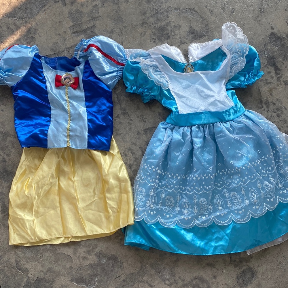 Size 4, Used - Alice in Wonderland and Sleeping Beauty Costumes